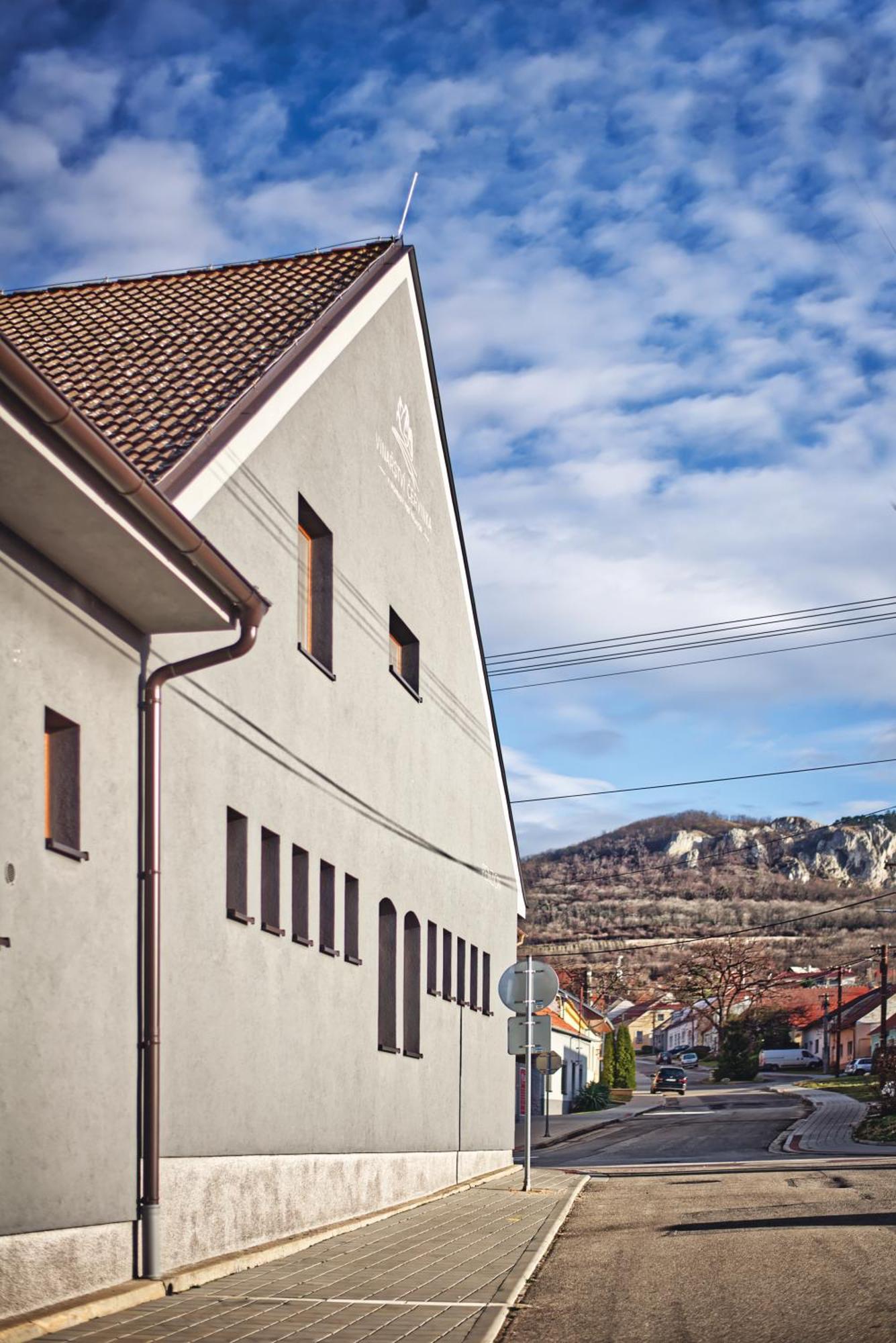 Penzion Vinarstvi Cervinka Horni Vestonice Luaran gambar